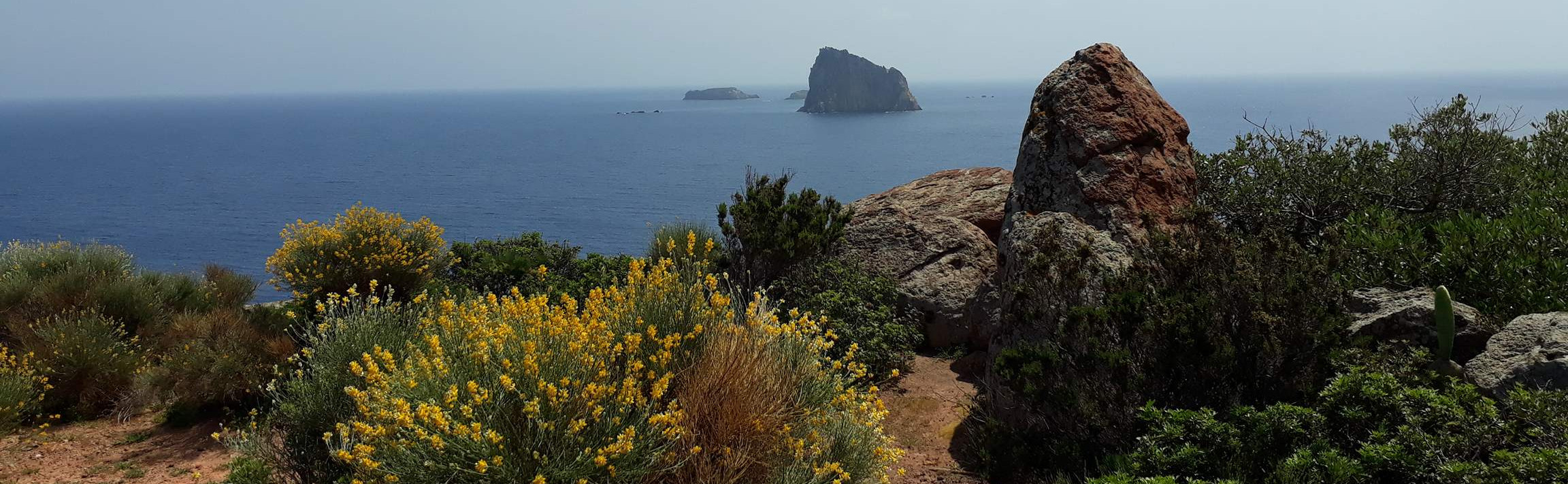 mare e macchia mediterranea